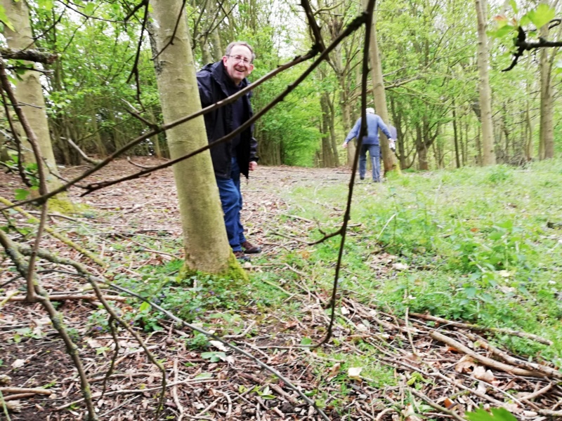 800x600 pixels (308K)